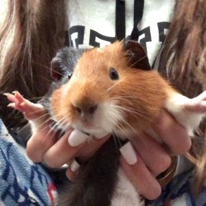 Meet your Posher, Kyla